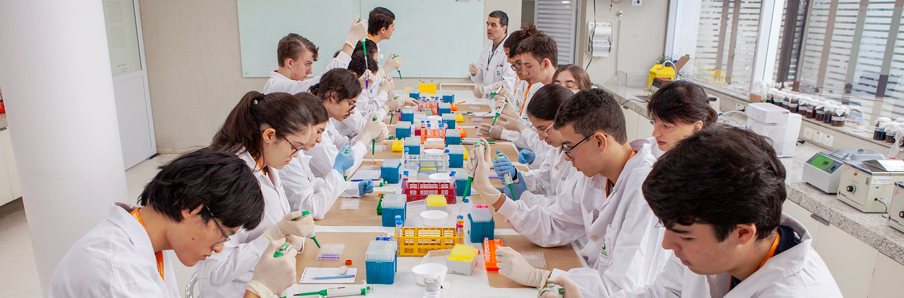 Banner Institucional
